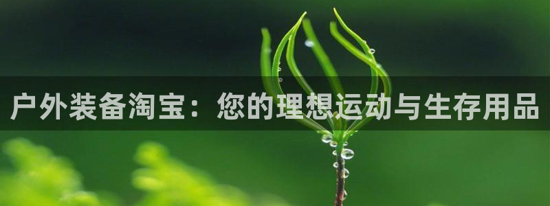 先锋娱乐电子游戏