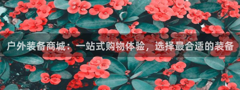 先锋娱乐集团