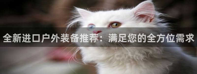 先锋娱乐在哪下载