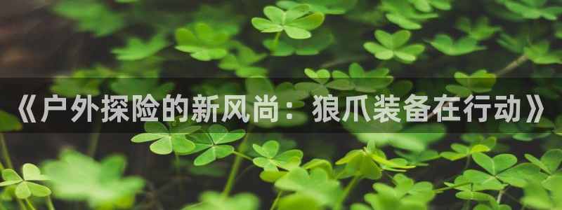 先锋娱乐管理集团怎么样