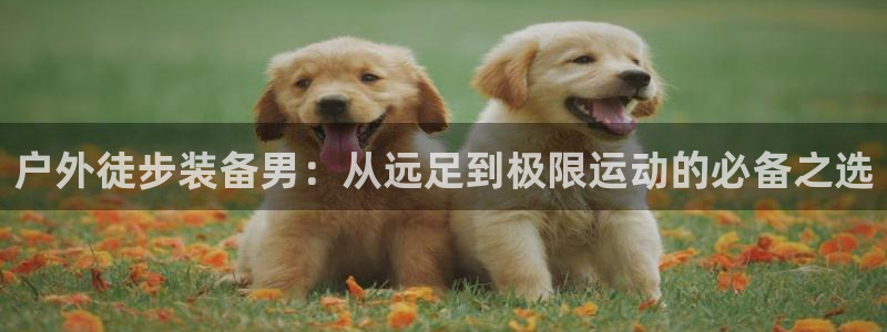 先锋娱乐大厅有挂吗