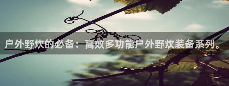 先锋国际娱乐