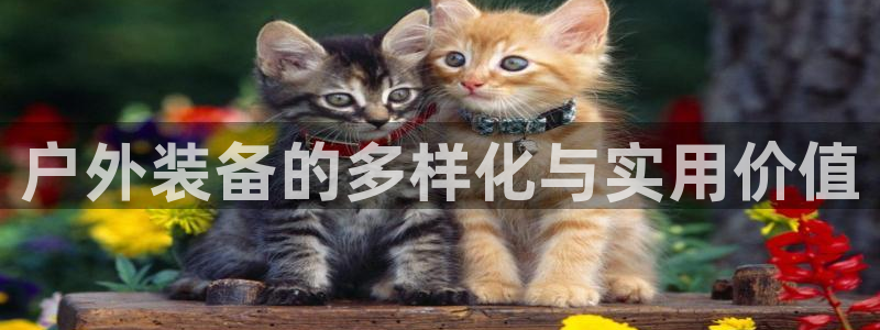先锋电玩娱乐