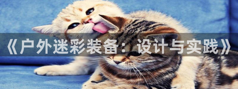 先锋娱乐管理集团招聘