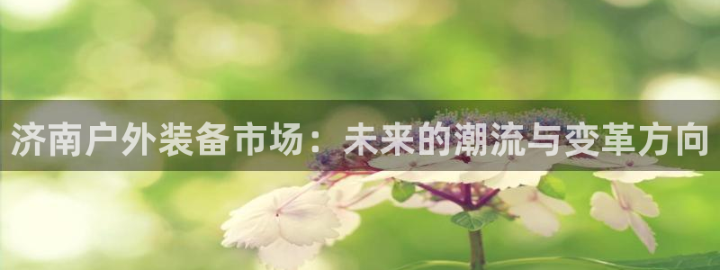 娱乐急先锋全集下载