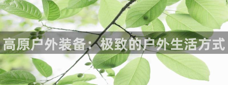 先锋电子旗下先锋娱乐