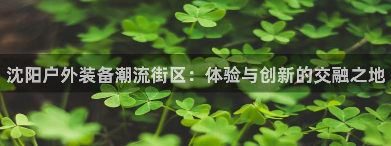 先锋娱乐入口