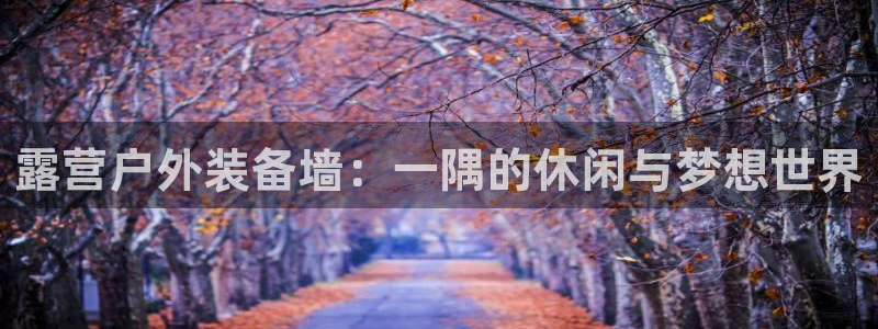 先锋电子旗下先锋娱乐