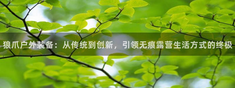 先锋娱乐股票