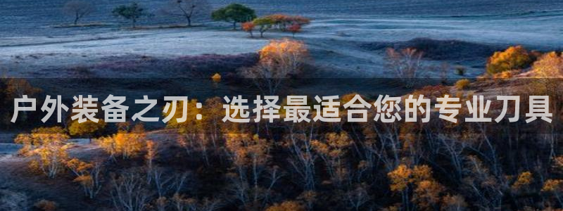 先锋娱乐网