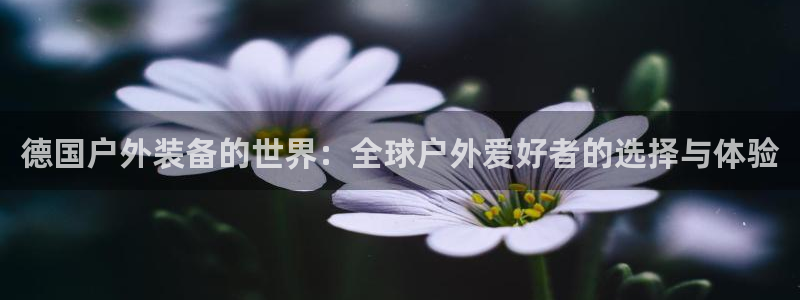 先锋娱乐管理集团怎么样
