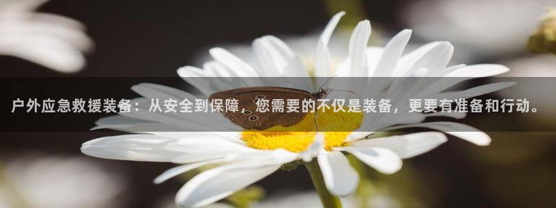先锋电子旗下先锋娱乐
