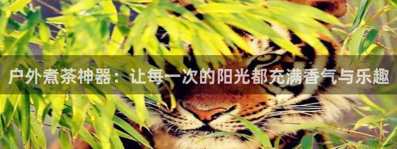 先锋娱乐理财logo