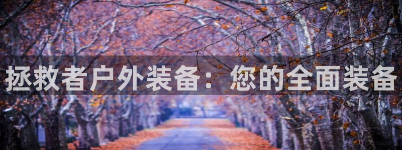 先锋娱乐手机