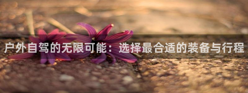 先锋娱乐体育