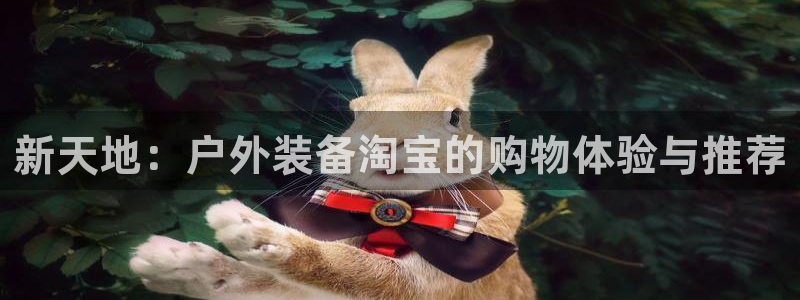 先锋电子旗下先锋娱乐