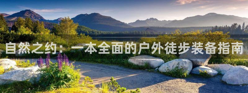先锋娱乐系统