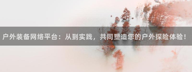先锋电子车载娱乐系统