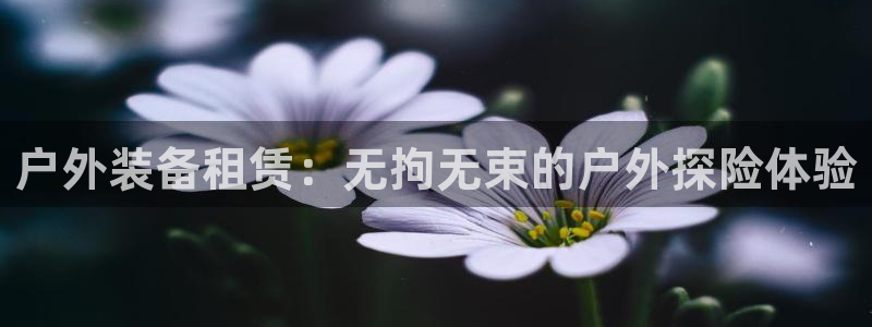 先锋娱乐系统