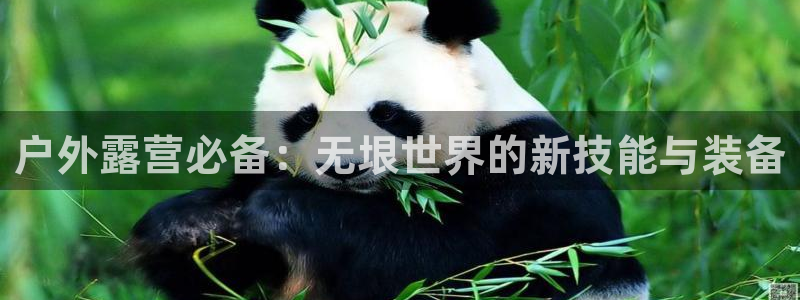 先锋娱乐游戏大厅下载