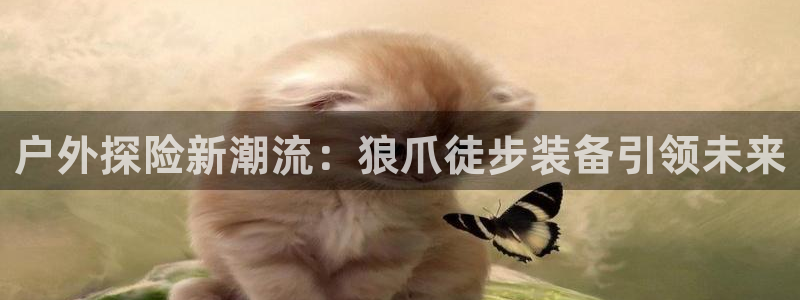 威斯汀娱乐先锋