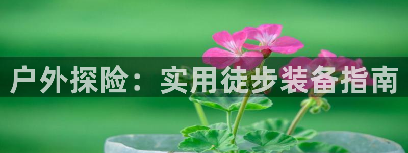 先锋电玩娱乐