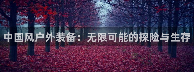 先锋娱乐资讯官网入口
