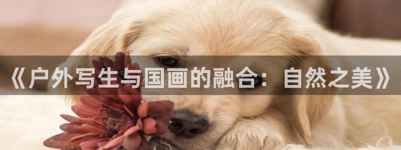 先锋娱乐体育管理集团