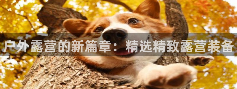 先锋娱乐大厅牛牛