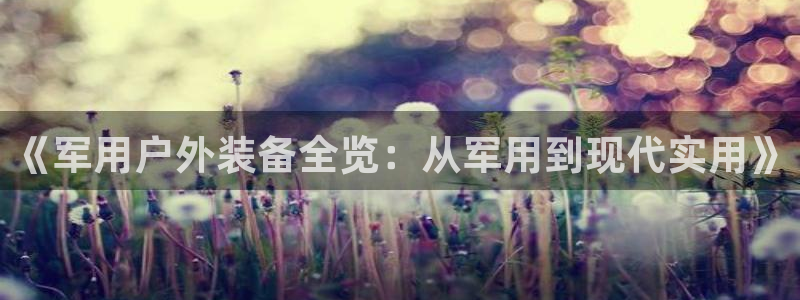 先锋岛娱乐