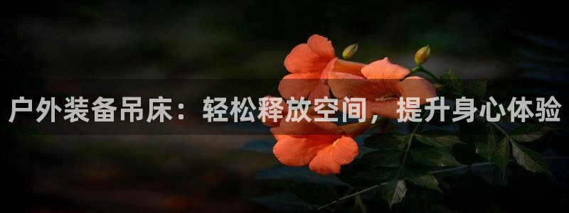 先锋岛娱乐