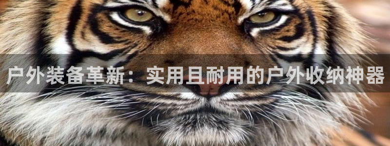 先锋娱乐大厅首页