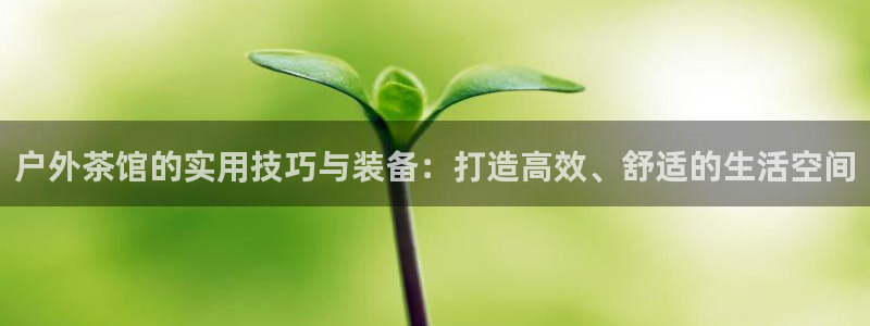 先锋娱乐在哪下载