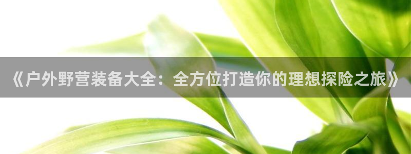 先锋队娱乐
