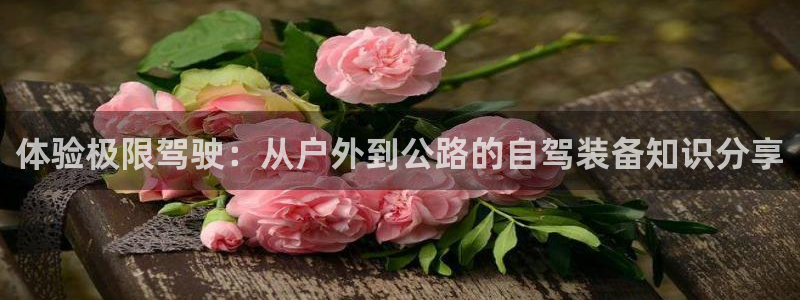 先锋 娱乐