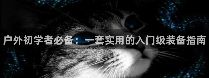 大连先锋娱乐