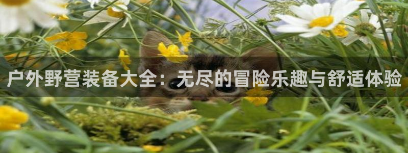 亚洲先锋娱乐招股