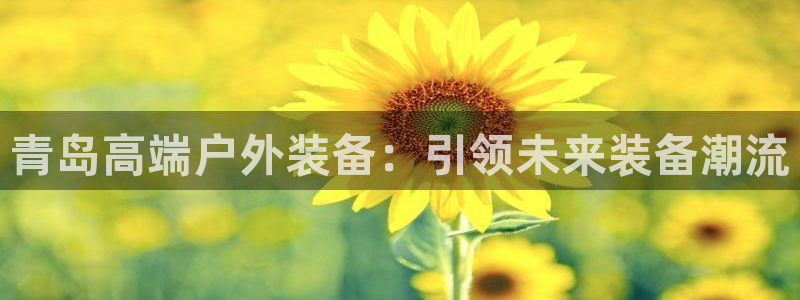 先锋支付娱乐城