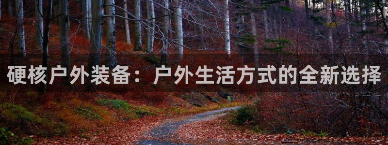 先锋娱乐简介图片