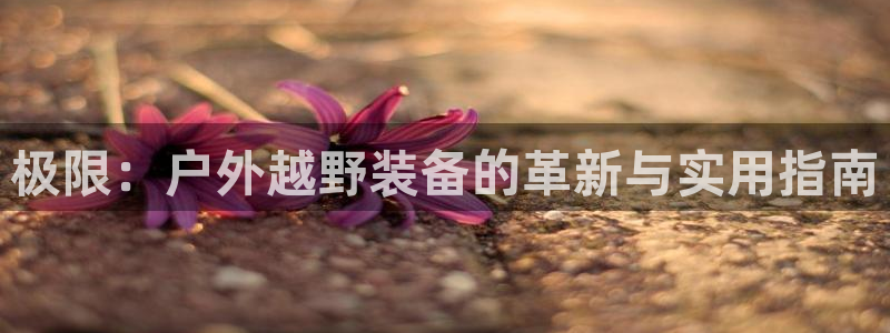 先锋互动娱乐