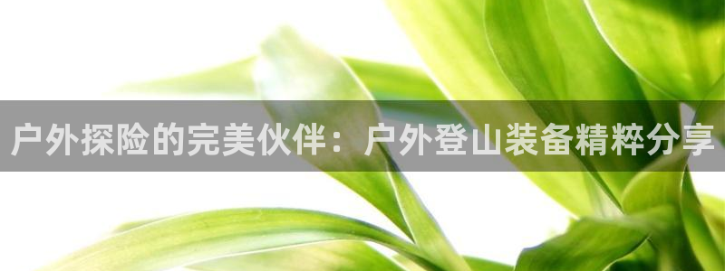 先锋娱乐集团