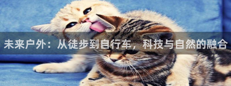 先锋娱乐科技