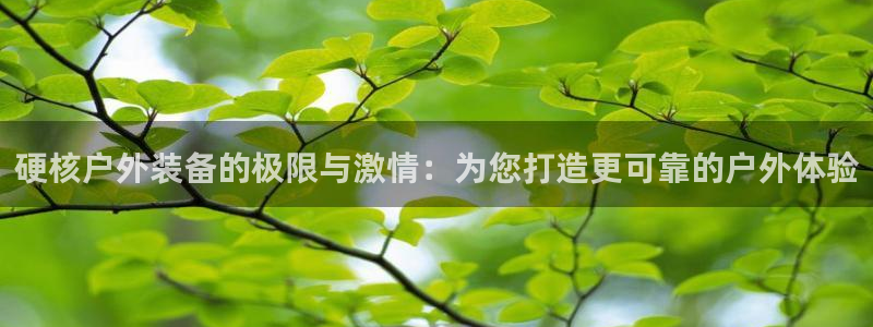 威斯汀娱乐先锋