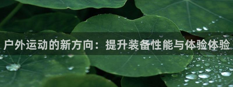 先锋娱乐集团公司