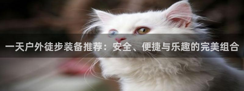 先锋娱乐大厅斗牛