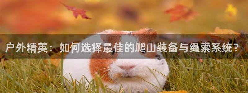 先锋娱乐上分