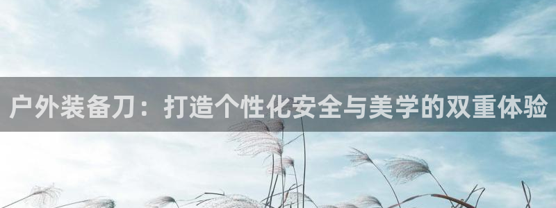 先锋娱乐管理集团招聘