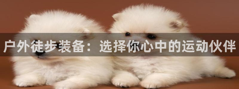 先锋娱乐邀请码多少位啊