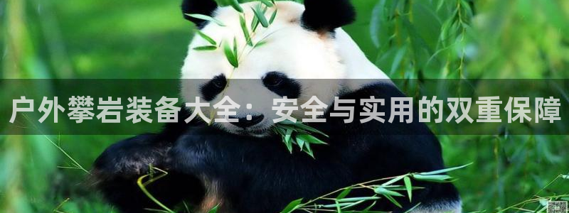 先锋娱乐游戏上分