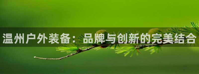 先锋娱乐资讯官网入口